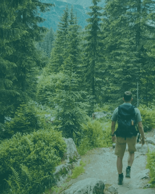 Person finding peace and clarity in a calm setting